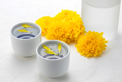 C77EAB5B-4235-4EF2-9839-031F670E273D