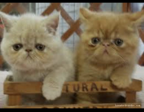 37123018-81CE-44B5-824A-46AABB4D9A02