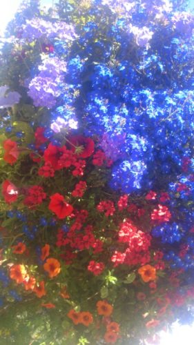 65A47CB7-0F54-4CF4-8CED-18951C5CF08C