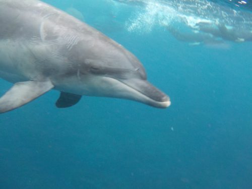 B74CAFF2-0DE4-4003-BBCF-7A53C6B3C55C