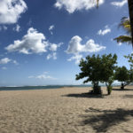 4119F8B9-1BE4-45C7-A558-CB7D83E383E4