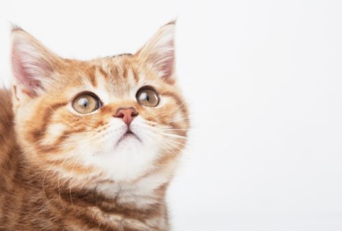 BA411C14-9419-4B82-AD32-4DBE9809CEF6