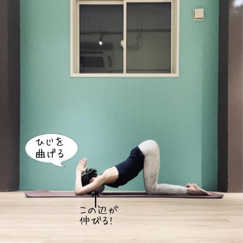 B2B5E6D5-8177-4472-B2C2-86D100E260A1