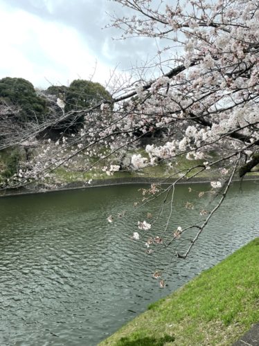 922996B4-594C-4AF7-BC60-B18AB65B1826