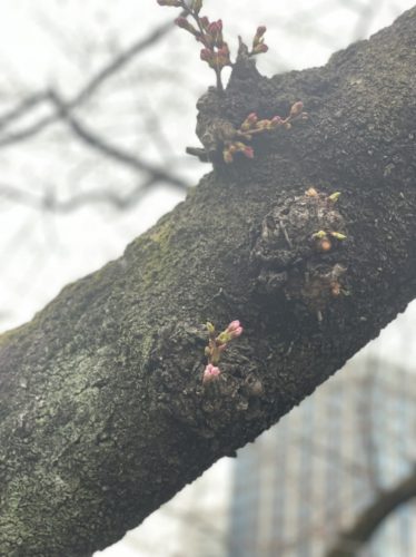 E93A5670-6701-42A6-99E7-F7A4901CEB3D