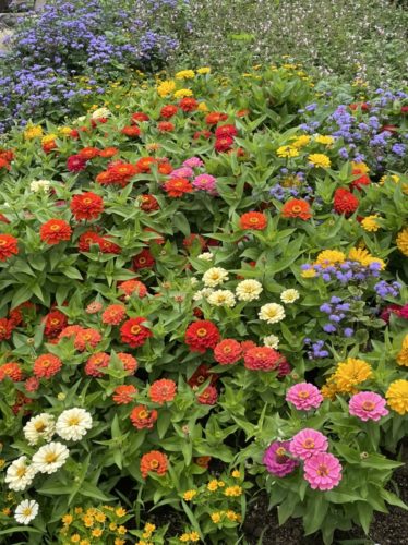 2CE82EC9-C133-429A-AB8A-208942B7E6FE