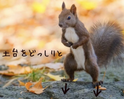 A661A313-AA09-4FBC-BF73-0659714C1DF9