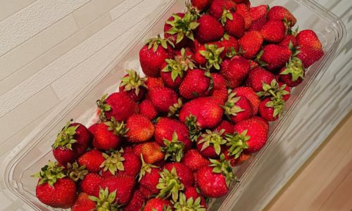 75FCC3A7-913D-460A-BC0B-BC8F97C6464C