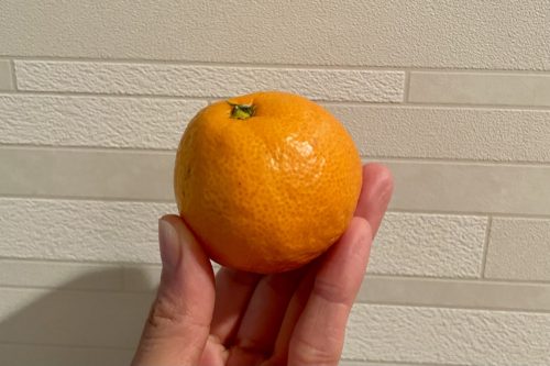 75838E77-4B26-4A44-BAB0-8F366CE4C627