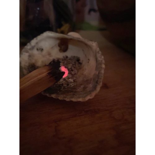 0E1FDD9F-FE40-4968-A299-EBDEAA67ED32