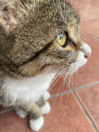 65590071-80D3-41FE-929E-B36B7478DA87