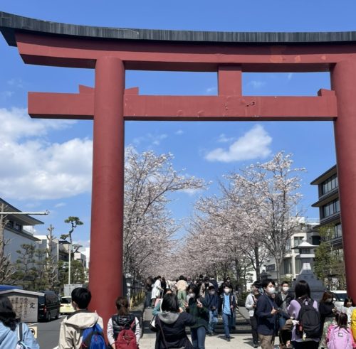 5A82B989-B54F-4BFB-BE7E-CBA25070C25A