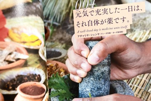 D30C070B-F25D-4836-A069-CF4EA8746367